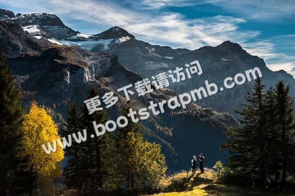 ⊞ Portfolio - c7c7.appxinhai