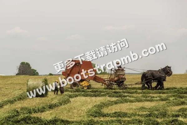 ⊞ Portfolio - c7c7.appxinhai